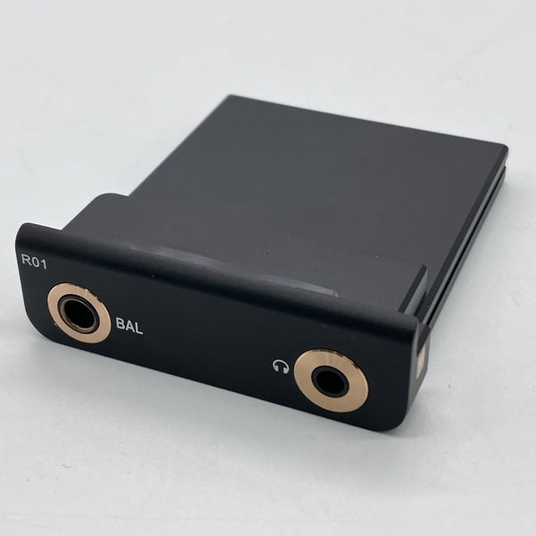 【中古】R01 オーディオマザーボード・R-2Rラダー型DAC搭載【秋葉原】