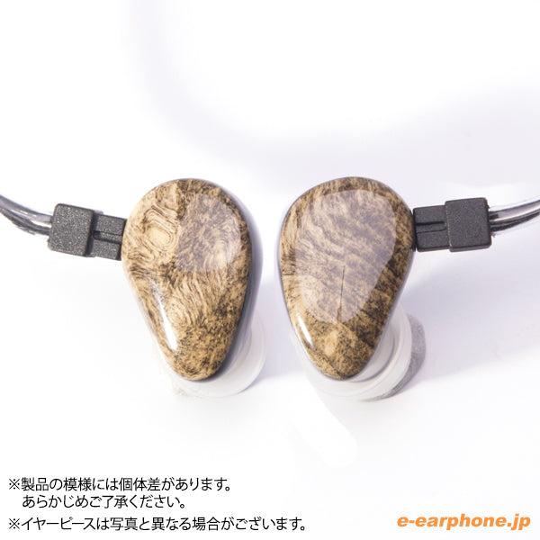 Heir IEM 5.0（ユニバーサルモデル）