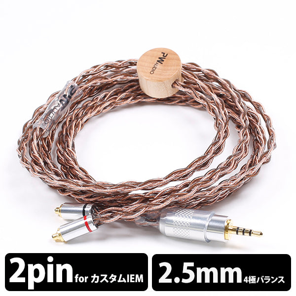 initial CIEM 2pin 2.5mm Balanced