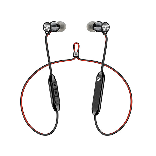 MOMENTUM Free 【M2 IEBT SW】