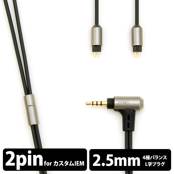 06シリーズ 2.5(4極)-2pin(CIEM) (L/R)【iect_06_bl2c_120】