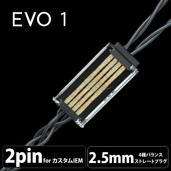 EVO 1 (エヴォ 1) 4wire 【2pin / 2.5mm4極バランス】