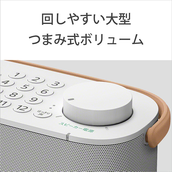 SRS-LSR200 お手元テレビスピーカー