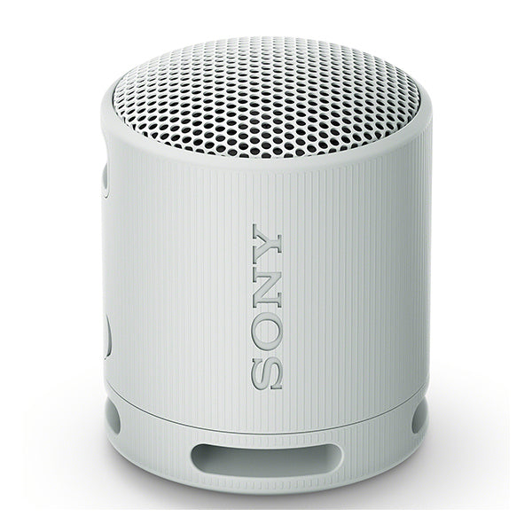 SRS-XB100
