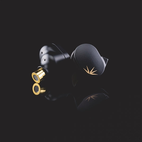 竹-CHU 2