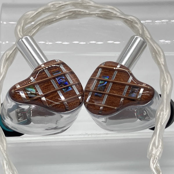 【中古】AISHA Pro (Universal Fit)【日本橋】