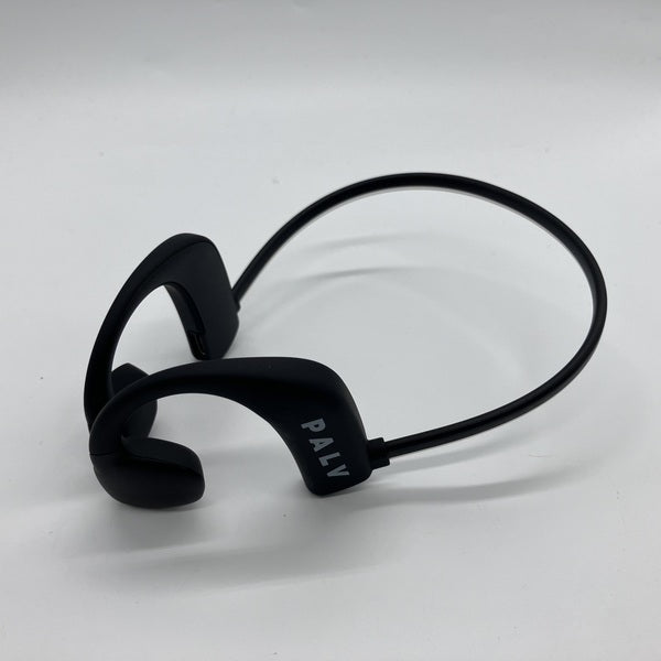 【中古】PALV Earwear【名古屋】