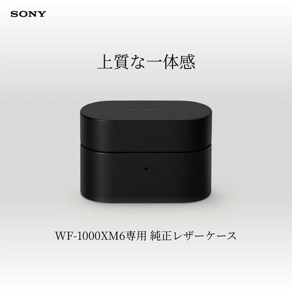 WF-1000XM6専用ケースカバー