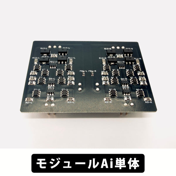Riccia(リシア)専用　モジュールAi単体